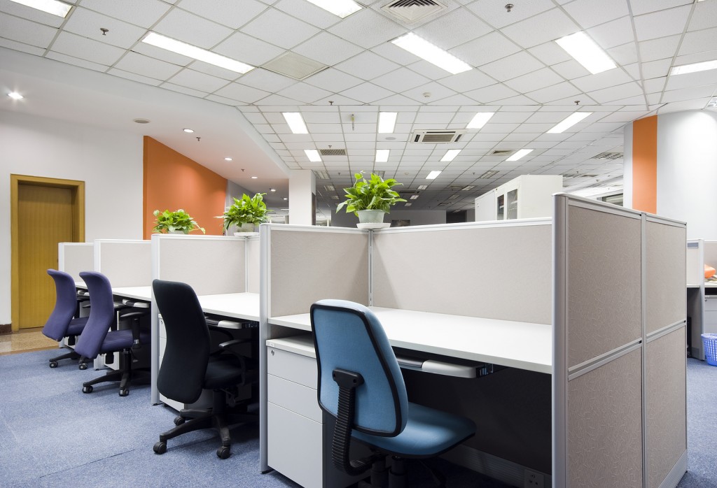 effective-indoor-plants-that-clean-the-air-in-your-office